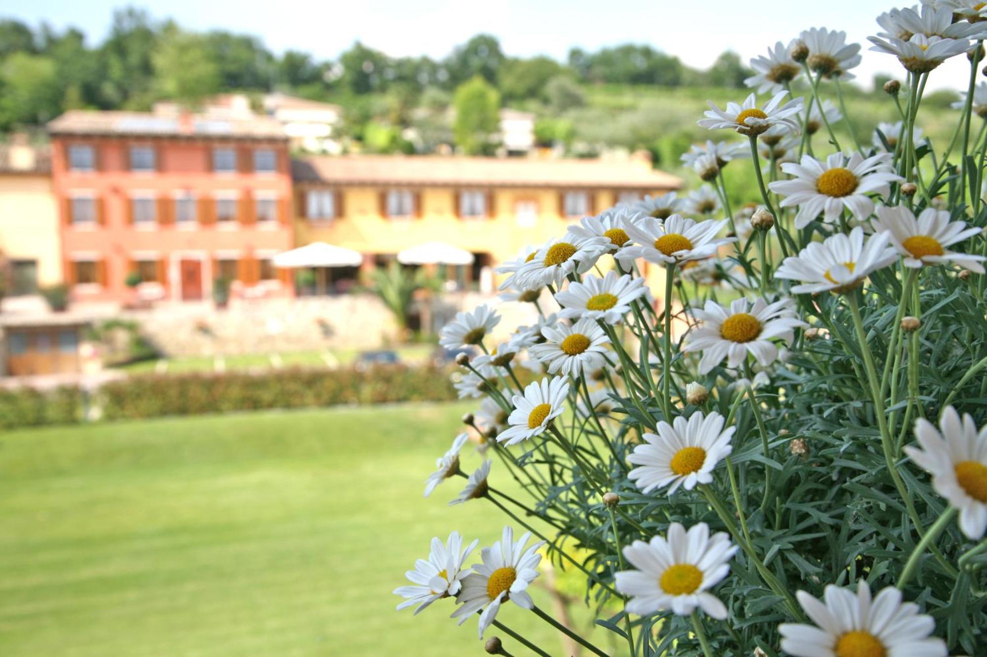 La Zerla Bardolino Exterior foto