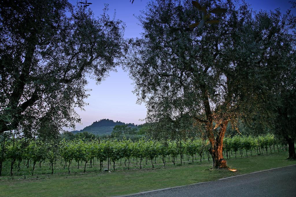 La Zerla Bardolino Exterior foto