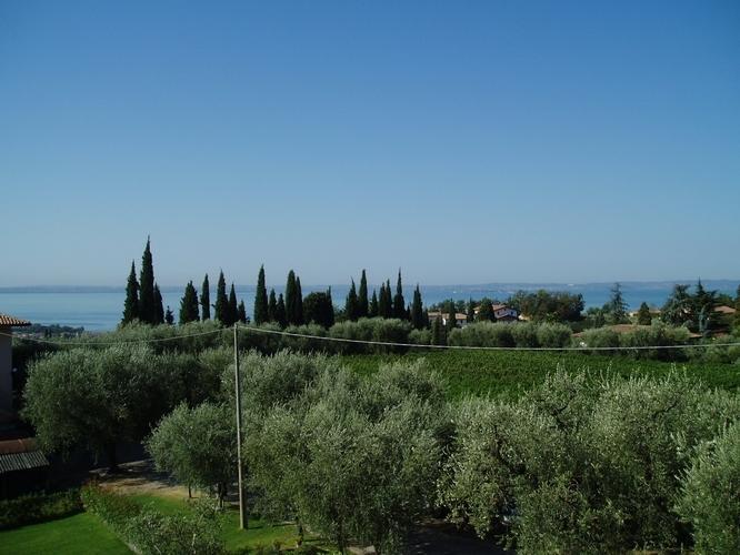 La Zerla Bardolino Quarto foto